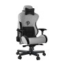 AndaSeat T-Pro II Premium Gaming Chair, 4D Armrests, Memory Foam Neck Pillow & Lumbar Support, Grey/Black | AD12XLLA-01-GB-F