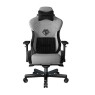 AndaSeat T-Pro II Premium Gaming Chair, 4D Armrests, Memory Foam Neck Pillow & Lumbar Support, Grey/Black | AD12XLLA-01-GB-F