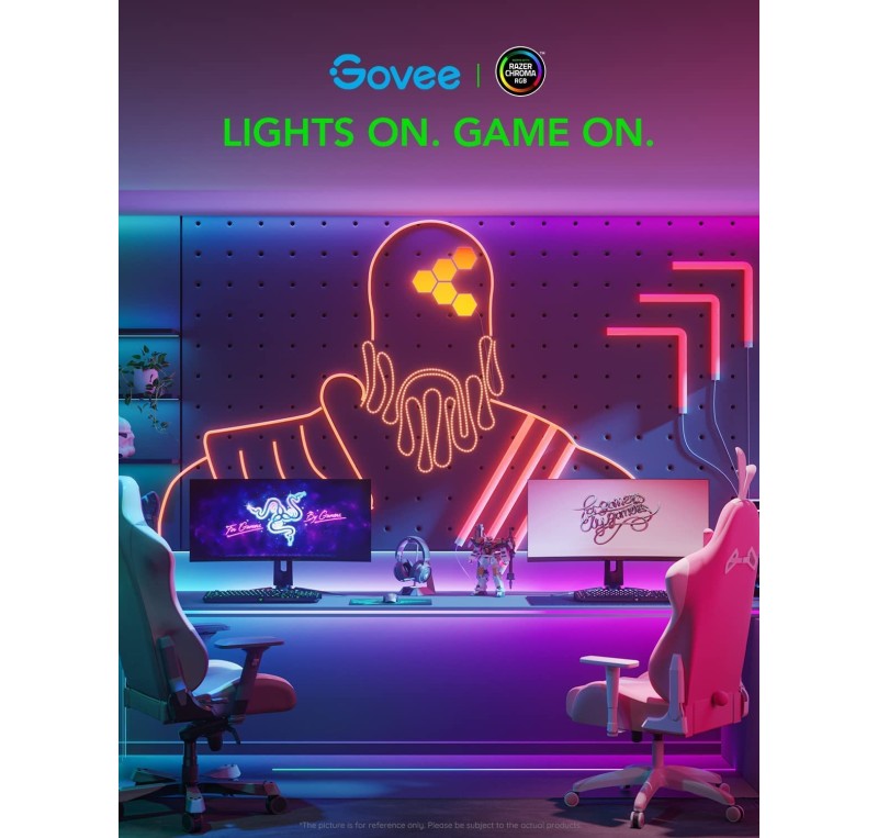 Govee Neon LED Lights 5M, RGBIC LED Strip Wall Light DIY with WiFi App  Control, Works